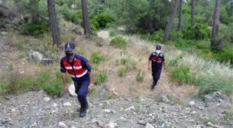 Kayıp kampçıyı arama çalışmaları 11'inci gününde