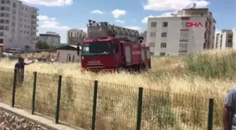 Son dakika... ADIYAMAN SU KANALINA DÜŞEN İNEĞİ İTFAİYECİLER KURTARDI