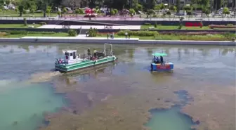 BOĞAÇAYI'NDA CARETTA VE AHTAPOT'LA TEMİZLİK