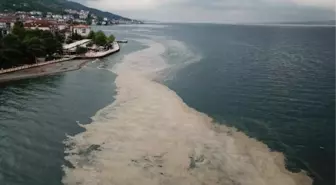 Son dakika haberleri... GEBZE TEKNİK ÜNİVERSİTESİ'NDEN MÜSİLAJ İÇİN 'ÇEVRESEL KOŞUL' ARAŞTIRMASI