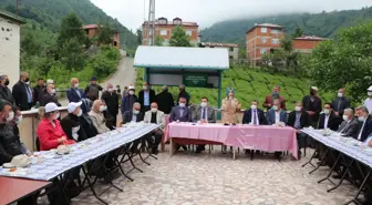 Ortahisar'da çay hasadı törenle başladı