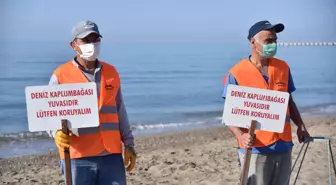 Anamur sahiline anaç deniz kaplumbağaları için uyarı levhaları konuldu