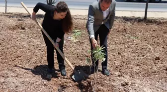 Kilis'te Dünya Çevre Günü dolayısıyla fidan dikim etkinliği düzenlendi