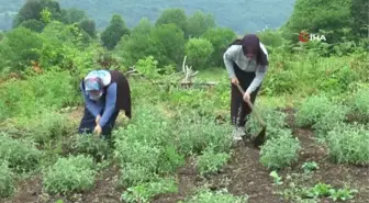 Kırsalın girişimci kadınları, bu projeyle daha da güçlendi