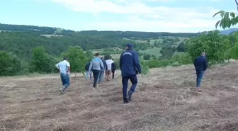 Sakarya'da kaybolan yaşlı adam yaralı halde bulundu