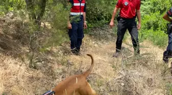 Antalya'da fotoğraf çekmek için gittiği dağlık bölgede kaybolan kişiyi arama çalışmaları sürüyor