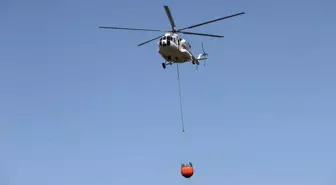 Ormanlık alan ve tarım arazisinde çıkan yangınlar kontrol altına alındı
