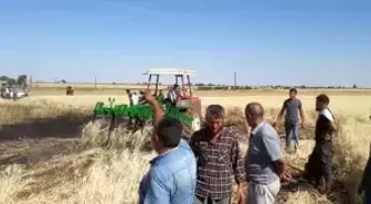 Buğday tarlasında yangın nöbeti