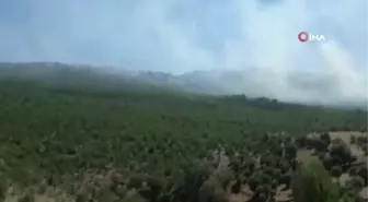 Elazığ'da orman yangını