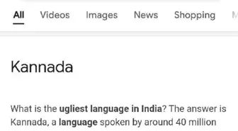 Google, Hindistan'daki Kannada dili için özür diledi