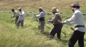 Muş'ta tırpancıların zorlu ot biçme mesaisi başladı