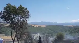 Tarlada çıkan yangın buğday ekili alana zarar verdi