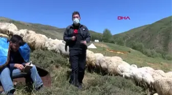 Son dakika gündem: TUNCELİ ÇOBANLIK YAPARKEN ROBERT LİSESİ'Nİ KAZANDI, SIRADA TİLBURG ÜNİVERSİTESİ VAR