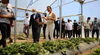 Vali Köşger Efes Tarlası Yaşam Köyünde