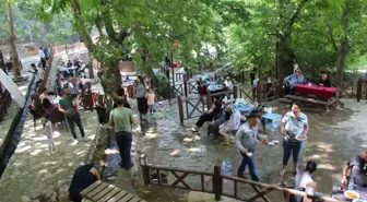 Yabancı uyruklu öğrenciler Sason'da piknik yaptı