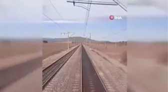 Yük treni koyun sürüsüne çarpmaktan son anda kurtuldu