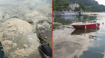 Deniz salyası şimdi de Karadeniz'de! Profesör yaklaşan tehlikeye dikkat çekti: Böyle giderse biz de karşı karşıya kalacağız