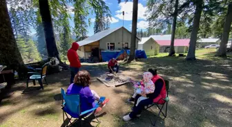 Düzce'de doğaseverlerin yeni adresi yaylalar oldu