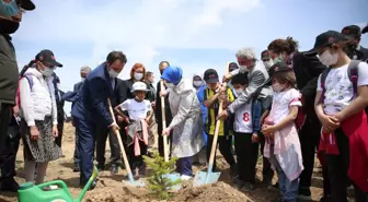 Son dakika haber! Eskişehir'de 'sıfır atık kazanımları ormanı' fidanla buluştu