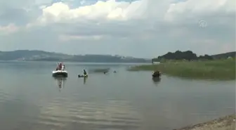 Gönüllüler, Karadeniz sahili ile Sapanca Gölü çevresindeki çöpleri topladı