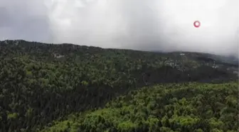 Tarzan'ın evi halen ilk günkü gibi