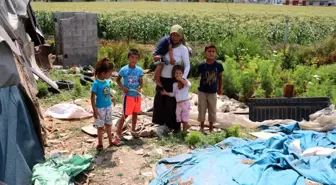 Çadırda yaşayan tarım işçisi aileye kaçak su kullandıkları gerekçesiyle 7 bin lira borç geldi