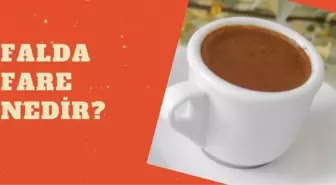 Falda fare görmek ne demektir? Falda fare görmek nedir?