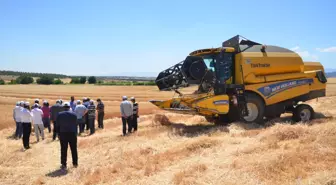 Kahramanmaraş'ta buğday hasadı başladı