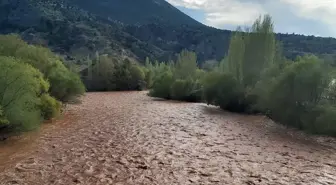 Sakarya nehri kızıla boyandı