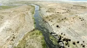 Salda Gölü'nün sarıya dönen renginin sebebinin büyükbaş hayvanlar olduğu ortaya çıktı