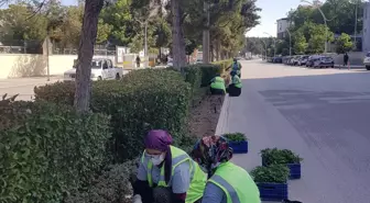 Burdur'da park ve bahçeler çiçeklerle renklenecek