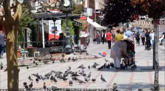 Edirne'de vaka sayıları tek hanelere düştü, ilçelerde vaka rastlanılmadı