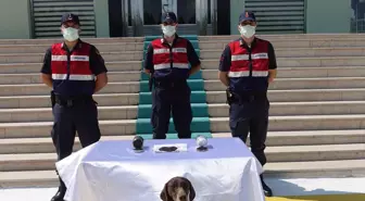 Kaçak kazıda bulduğunu söylediği buğdayları İzmir'de satmaya çalışan şüpheli yakalandı