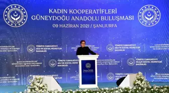 Kadın Kooperatifleri Güneydoğu Anadolu Bölge Buluşması Gerçekleştirildi