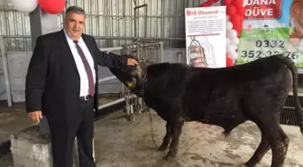 Konya'da kurbanlık hayvanların canlı kilogram fiyatları belirlendi