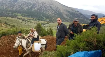 Münevver teyzenin yol isteği gerçek oldu