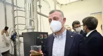 Tıbbı ve Aromatik Bitkiler Projesinde ikinci adım atıldı