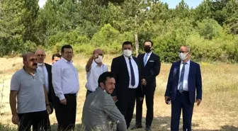 Beyşehir ve Hüyük'teki Aile ve Sosyal Hizmetler Bakanlığı projelerine inceleme