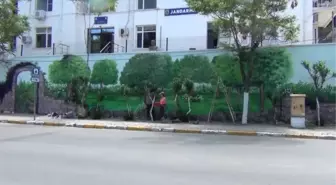 BALIKESİR - Ayvalık'ta Sardunya Festivali öncesi ressamlar çizdikleri resimlerle ilçenin duvarlarını güzelleştiriyor