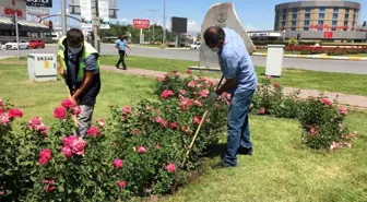 Erzincan Belediyesi Çalışmalarına Devam Ediyor