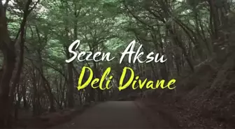 Sezen Aksu - Deli Divane şarkı sözleri! 'Deli Divane' sözleri nelerdir? Şarkı hakkında bilgiler