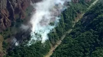 Tunceli'de orman yangını, ekipler müdahale ediyor