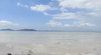 Caddebostan Sahili'nde müsilaj yoğunluğu arttı