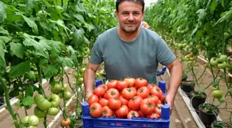 Eynal domatesine coğrafi işaret başvurusu