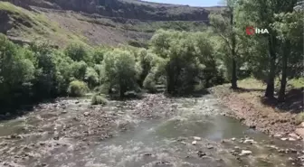 Kuraklık Kars Çayını da vurdu