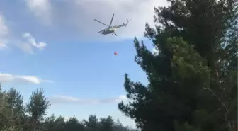 Son dakika haber! Osmaniye'de orman yangını büyümeden söndürüldü