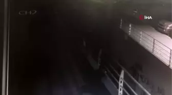 Esenyurt'ta köpeğe pompalı tüfekli saldırı anı kamerada