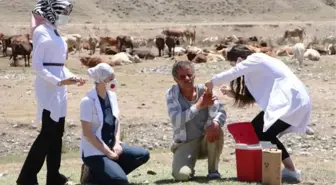 Dağları taşları aşıp, çobanların korona aşılarını yaptılar (2)- Yeniden