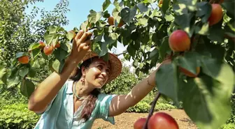 Kariyerini Bıraktı Dede Mirası Organik Tarıma Başladı