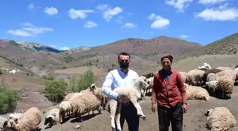 Kaymakam Çelik, köylerde incelemede bulundu